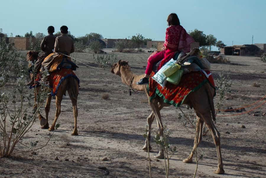 Nomadic Non-Touristic Overnight Camel & Desert Safari Tour - Price and value: what $34 includes and what you should budget