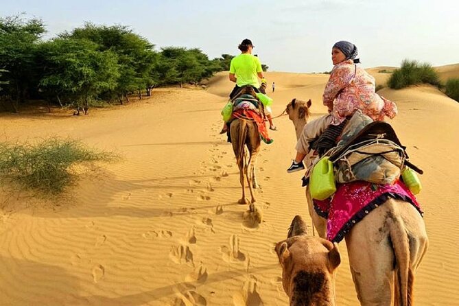Nomadic Non-Touristic Overnight Tour & camel Safari - Key highlights at a glance