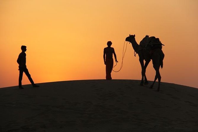 Nomadic Non-Touristic Overnight Tour & camel Safari - Jeep into the Thar: why the 2:30 pm start feels smart