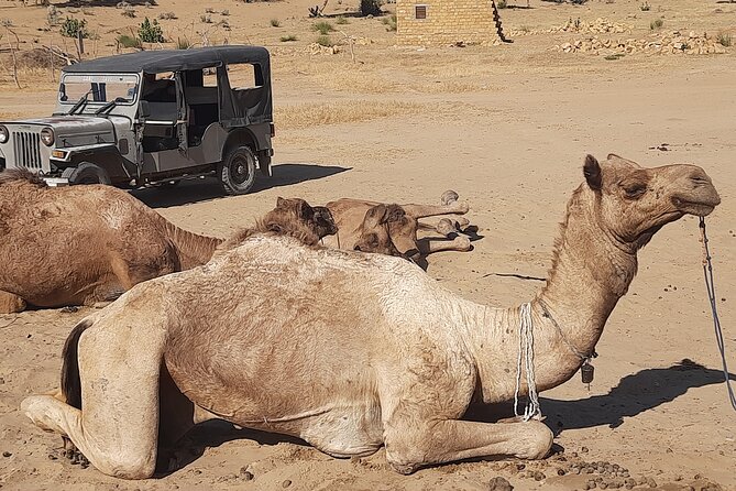 Off the beaten track overnight Camel Safari Tour Jaisalmer - Day 1 in plain terms: jeep, camel ride, villages, and camp cooking