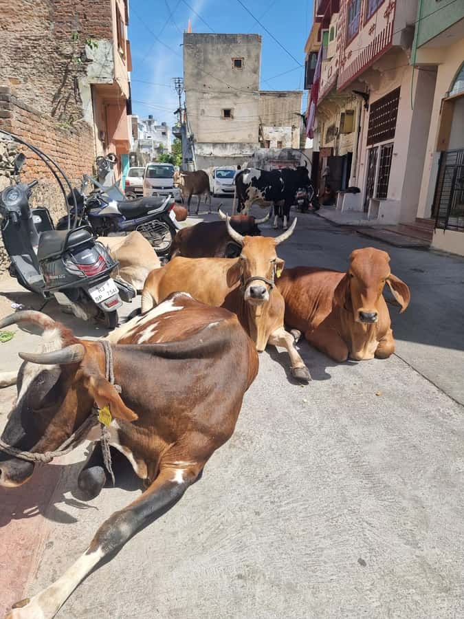 Old city heritage walk and local life experience - Key things that make this walk worth your time