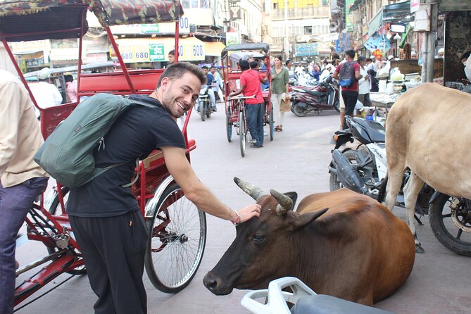 Old Delhi Food Tour Safari - The Capital of Flavors - Starting in Paharganj: what your first 30 minutes look like