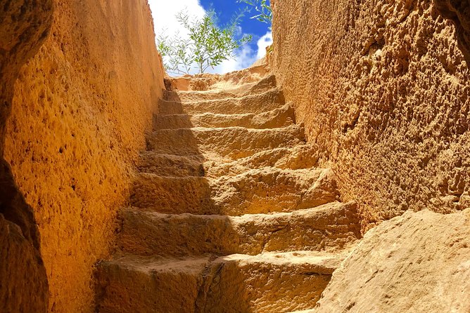 Old & New Delhi City Tour-Half Or Full Day with Options Available - The Mughal-era UNESCO sandstone fort and Agarsen Ki Baoli’s 103 steps