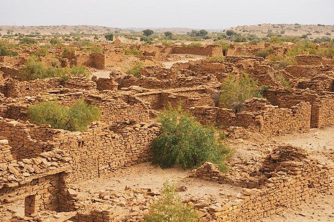 One Night One Day Desert Safari Tour - Key highlights worth knowing before you go