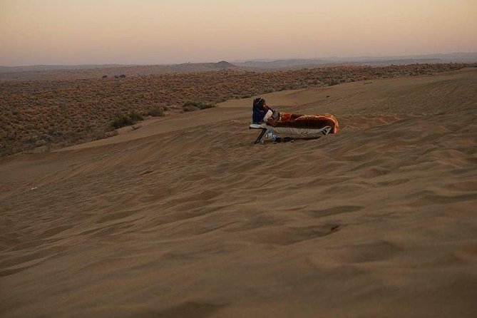 One Night One Day Desert Safari Tour - The 2:00 pm start and how the day flows