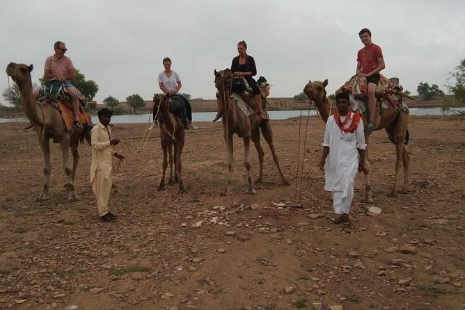 Over Night Camel Safari - Key highlights worth booking for
