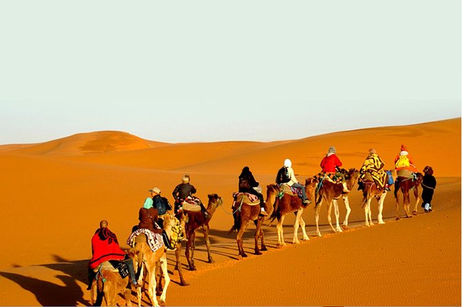 Overnight Camel Safari at Non-Touristic Route - Key things I found most compelling