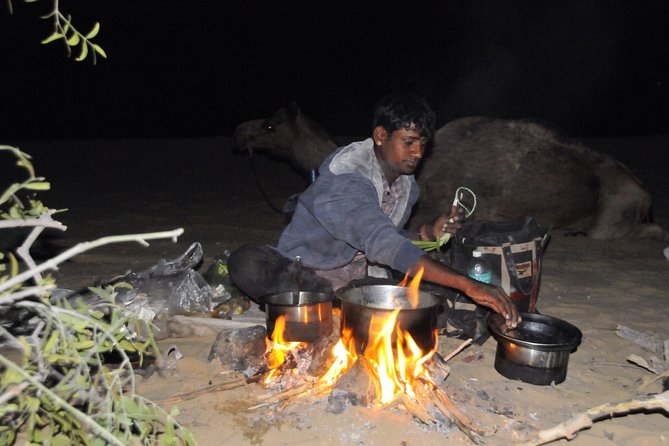 Overnight Camel Safari (remote And Isolated) - Camel into the Thar, sleep under stars, and actually see the quiet desert