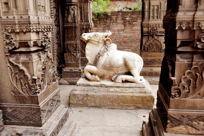 Pilgrimage Varanasi - Private tour basics: timing, pickup, and what you should plan for