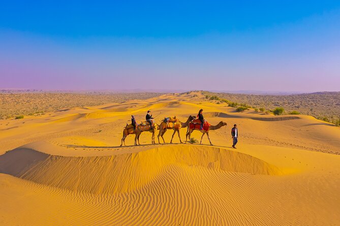 Pleasant Non-Touristic Overnight Camel Safari (From 2:00 PM to Approx. 10:30AM) - Key things to know before you go
