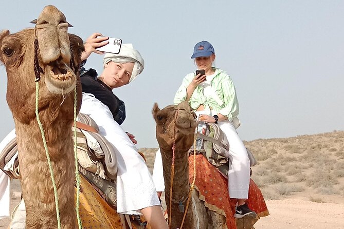 Pleasant Non-Touristic Overnight Camel Safari (From 2:00 PM to Approx. 10:30AM) - A non-touristic desert night, not a show package