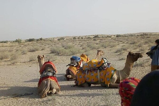 Pleasant Non-Touristic Overnight Camel Safari (From 2:00 PM to Approx. 10:30AM) - Kuldhara Abandoned Village, a short stop with eerie mood