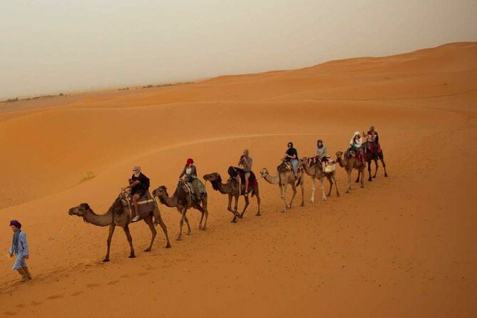 Pleasant Non-Touristic Overnight Camel Safari (From 2:00 PM to Approx. 10:30AM) - Pickup, transport, and the small comforts that make a difference