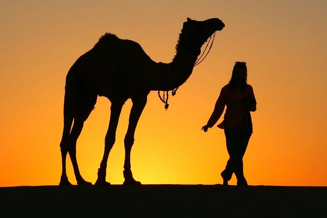 Pleasant Sunset Safari With Dinner On Dunes (From 2:00 PM to Approx. 10:00 PM) - Key things to know before you go