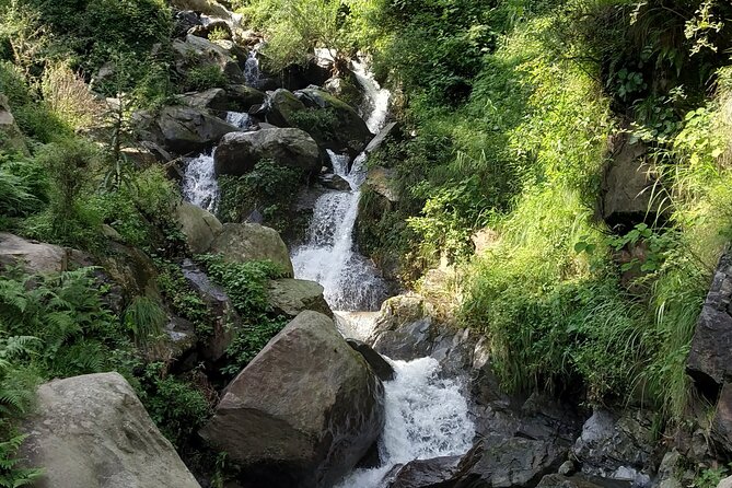 Private 6 hrs Mcleodganj & Dharamshala City Tour - St. John in the Wilderness: A Church Built in 1852