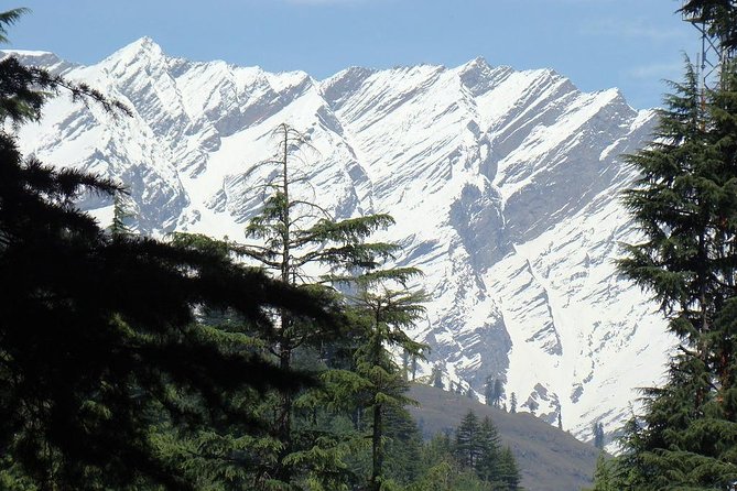 Private 7 Days Shimla Manali Hill Stations Tour From Chandigarh - The private driver advantage: pacing, stops, and less travel friction