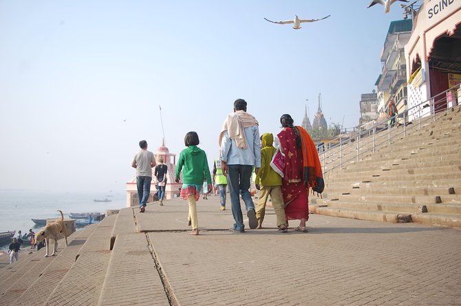 Private Day Tour in Varanasi - Banaras Hindu University: a calmer break from the sacred circuit