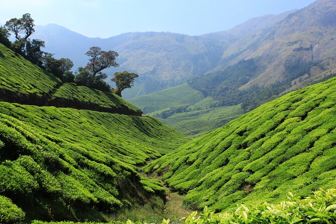 Private Day Trip to Munnar from Kochi (Cochin) - Budget and Value: What You Pay, What You Still Need to Pay