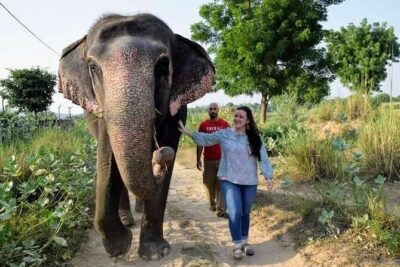 Private Elephant Sanctuary