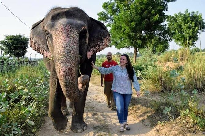 Private Elephant Sanctuary - Bathing and Scrubbing: The Moment It Becomes Real