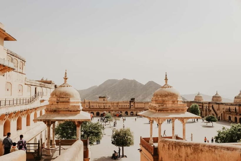 Private Full-Day Jaipur Guided Tour with Monkey Temple - Price, Entrance Fees, and Lunch Reality Check