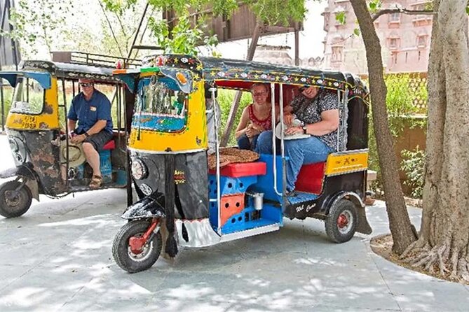Private Full-Day Jaipur Tuk-Tuk Tour with the Monkey Temple - Price and value: what $7.20 per person really buys