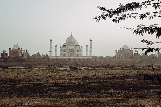 Private Full-Day Taj Mahal and Agra Fort Tour from New Delhi - Itmad-ud-Daula: the Baby Taj stop with a slower 1-hour pace