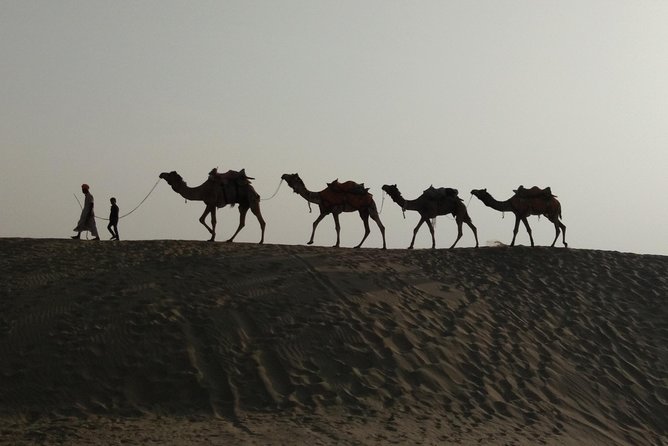 Private Heritage Walking Tour in Jaisalmer Fort and Old Bazaar - Meeting point to final haveli: how the tour flow works