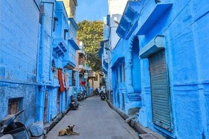 Private Jodhpur Blue City Tour With Private Tour Guide - The 4 to 5 hour plan that hits the city’s main moods