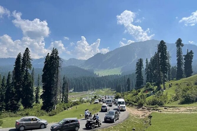Private Kashmir Family 7-Day Tour - Why This Private 7-Day Trip Feels More Personal Than a Standard Kashmir Tour