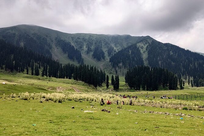 Private Kashmir Family 7-Day Tour - Pahalgam Road Trip Through Saffron Country and Awantipura Ruins