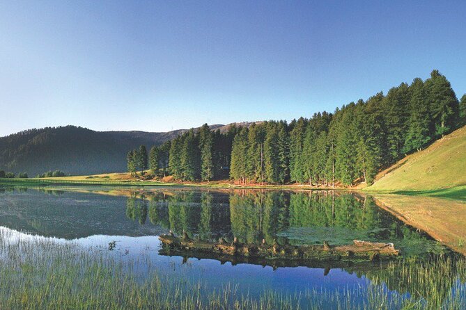 Private Kashmir Family 7-Day Tour - Departure Day: Airport Transfer With Happy Memories