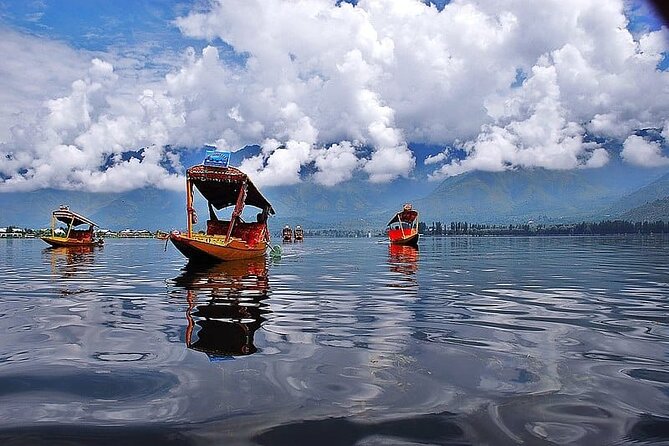 Private Kashmir Family 7-Day Tour - Srinagar Arrival, Houseboat Check-In, and a Classic Dal Lake Shikara Hour
