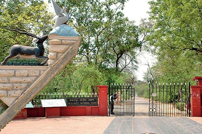 Private Keoladeo National Park Tour sightseeing - All Inclusive - Keoladeo National Park, not your typical Agra day