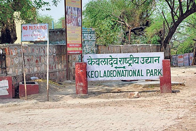 Private Keoladeo National Park Tour sightseeing - All Inclusive - Who this private Keoladeo tour is best for