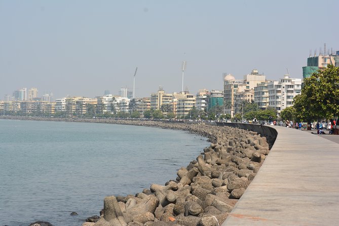 Private Mumbai Sightseeing Tour (Traveller's Choice Award Winner) - Sassoon Dock and Dhobi Ghat, From Working Ports to Laundry Life