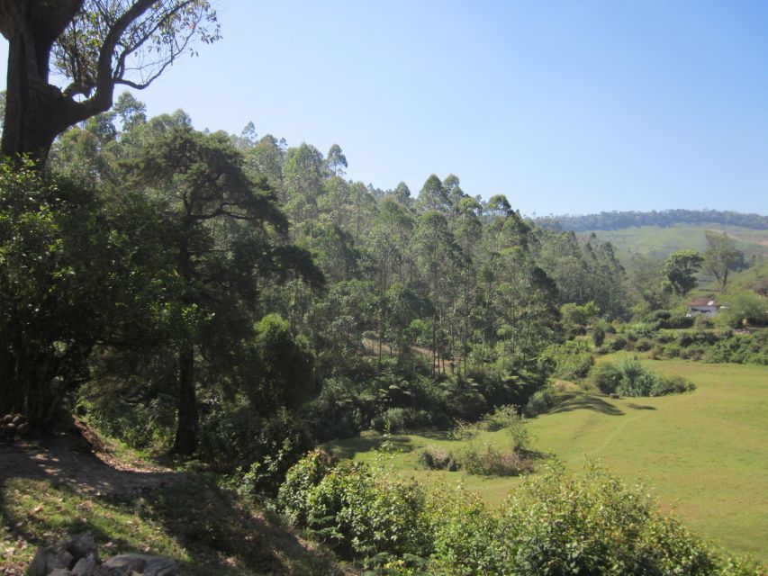 Private Munnar Tea Trek - Language and private-group style: what you gain by going private