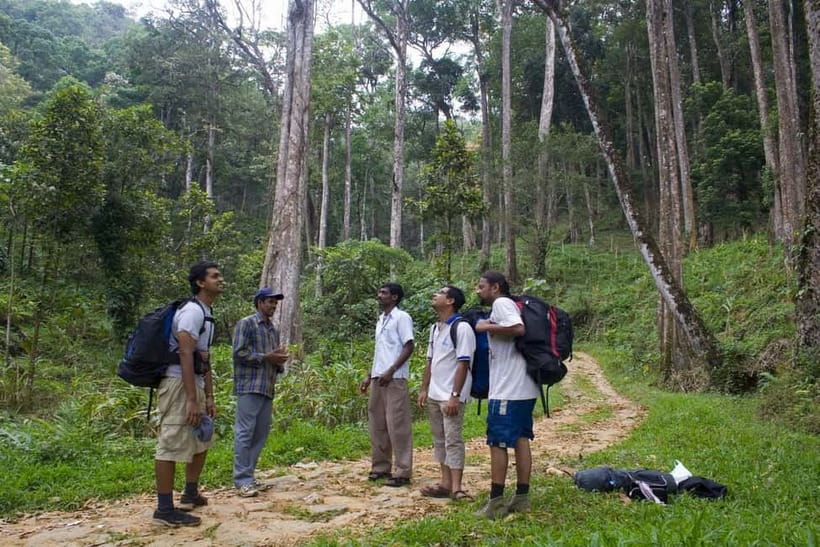 Private Munnar Tea Trek - Birds and wildlife in the nature zone: a good reason to slow down