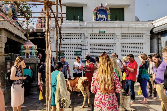 Private Peacock Trail Walking Tour in Mylapore - Kapaleeshwarar Temple: where rituals become understandable