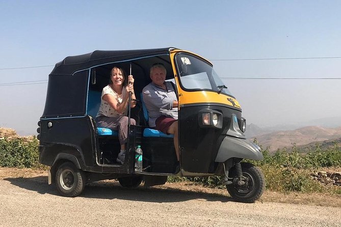 Private Udaipur Sightseeing Tour by Tuk-Tuk or Car with Driver - Lake Pichola and Gulab Bagh: views, then roses