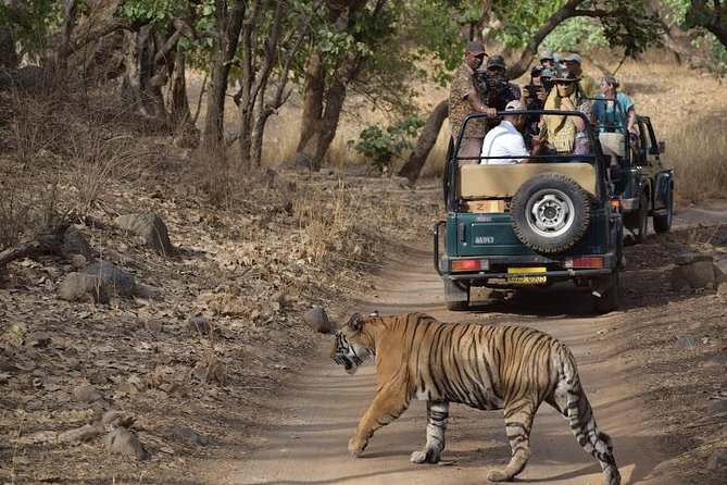 Ranthambhore Tiger Tour of Delhi, Agra, and Jaipur 5 Star Hotel - Keoladeo Ghana bird sanctuary by rickshaw, then Agra