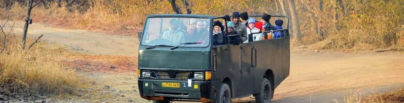 Ranthambore National Park: Safari Ticket with Pickup Option - Guides and Drive Style: What You Can Control