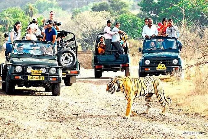 Ranthambore Wildlife Safari with Tickets & Transfer Options - Key Points at a Glance