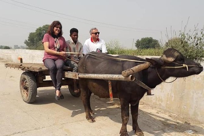 Real Village Tour Amritsar - Where this village tour fits in your Amritsar plan