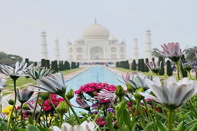 Sameday Taj Mahal Tour From Delhi With Lunch at 5 Star Hotel - Why this Delhi-to-Agra day trip feels manageable
