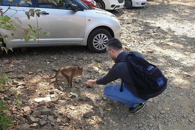 Sanjay Gandhi National Park(SGNP) + Kenheri Caves + Lion Safari + Jain Temple - How private timing works in a 5 to 6 hour day