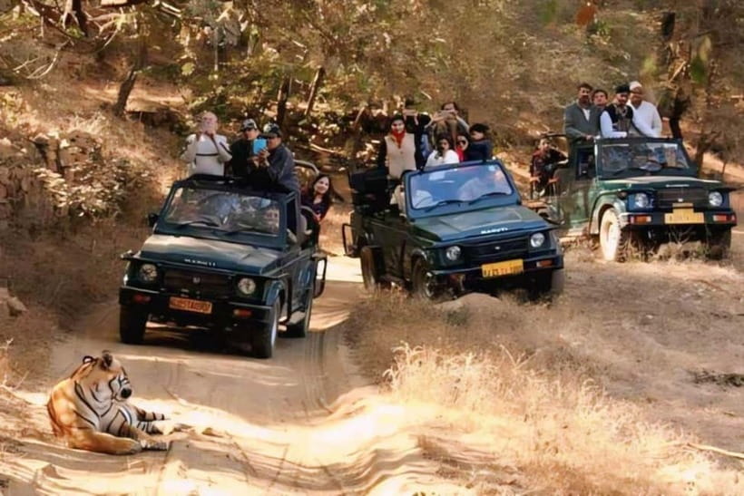 Sawai Madhopur: Ranthambore National Park Guided Jeep Safari - Key Things I’d Prioritize on This Safari