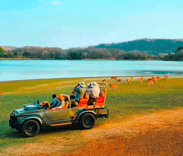 Sawai Madhopur: Ranthambore National Park Guided Jeep Safari - Your Guide and What Good Explanations Change
