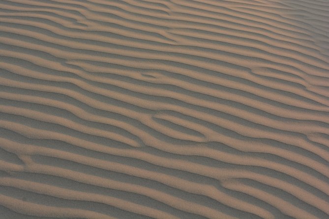 Shahi Half day non touristic sand dune camel safari with dinner - Key things to know before you go
