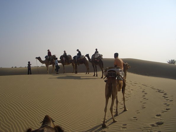 Shahi Over Night camel safari non touristic sand dune - Quick hits